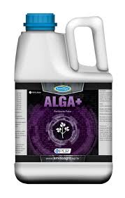 Alga+